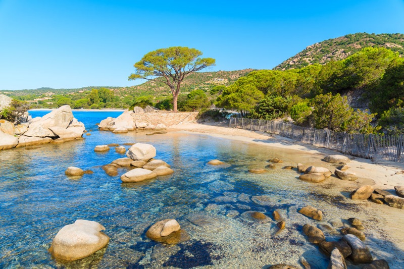 Découverte de la baie de Saint-Cyprien beauté naturelle et activités